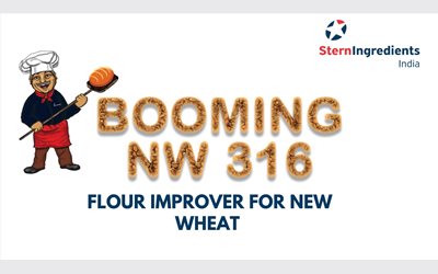 Booming NW Series - Improver for New Wheat Flour