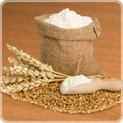 Flour Treatments